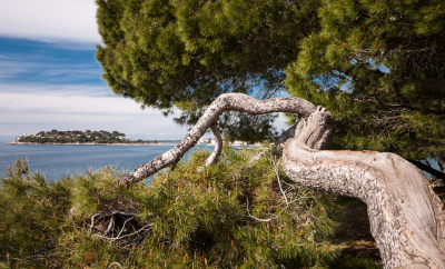 Eco-Friendly Travel in Istria